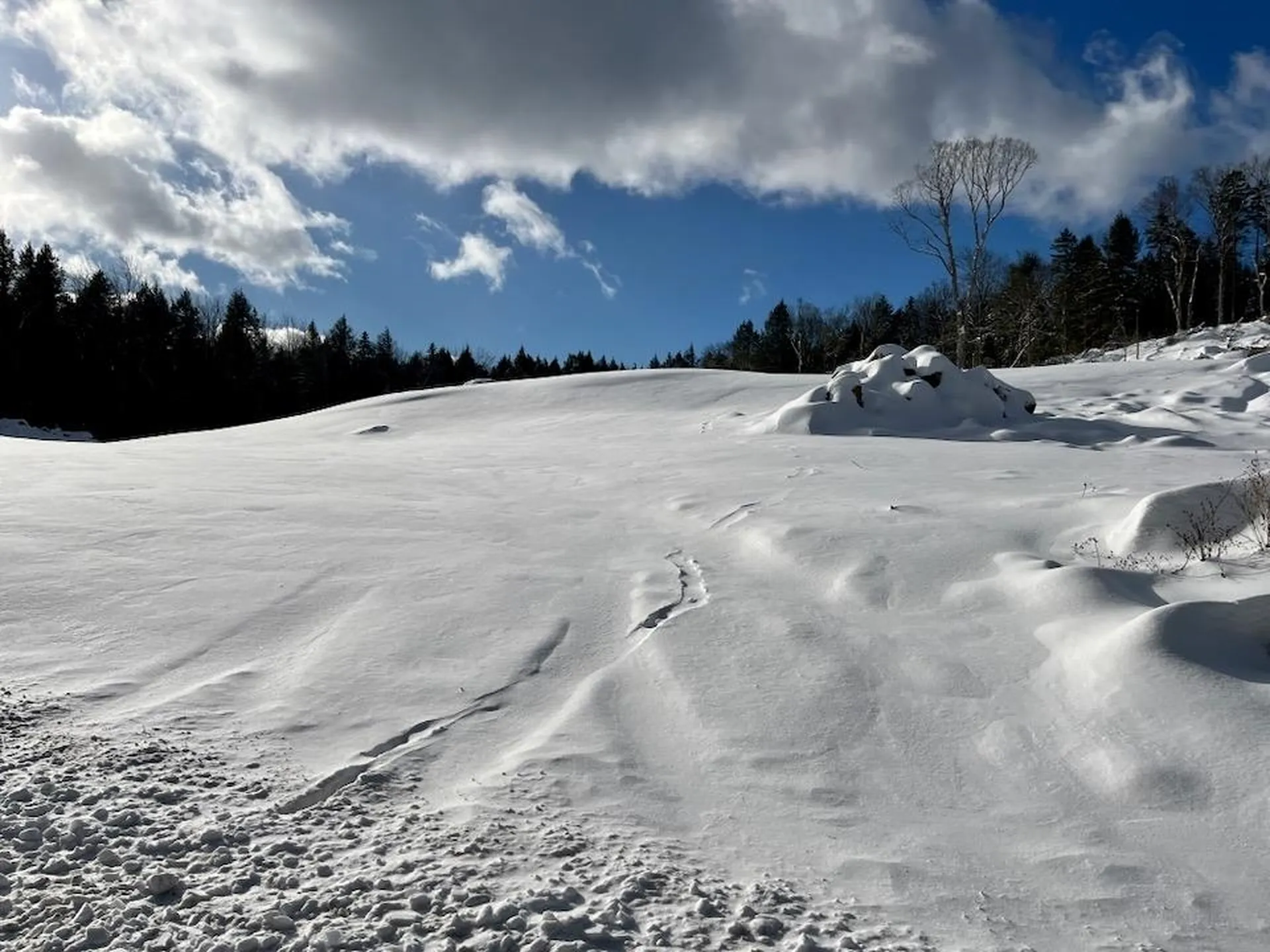 00 Parker Lane Weston VT 05161