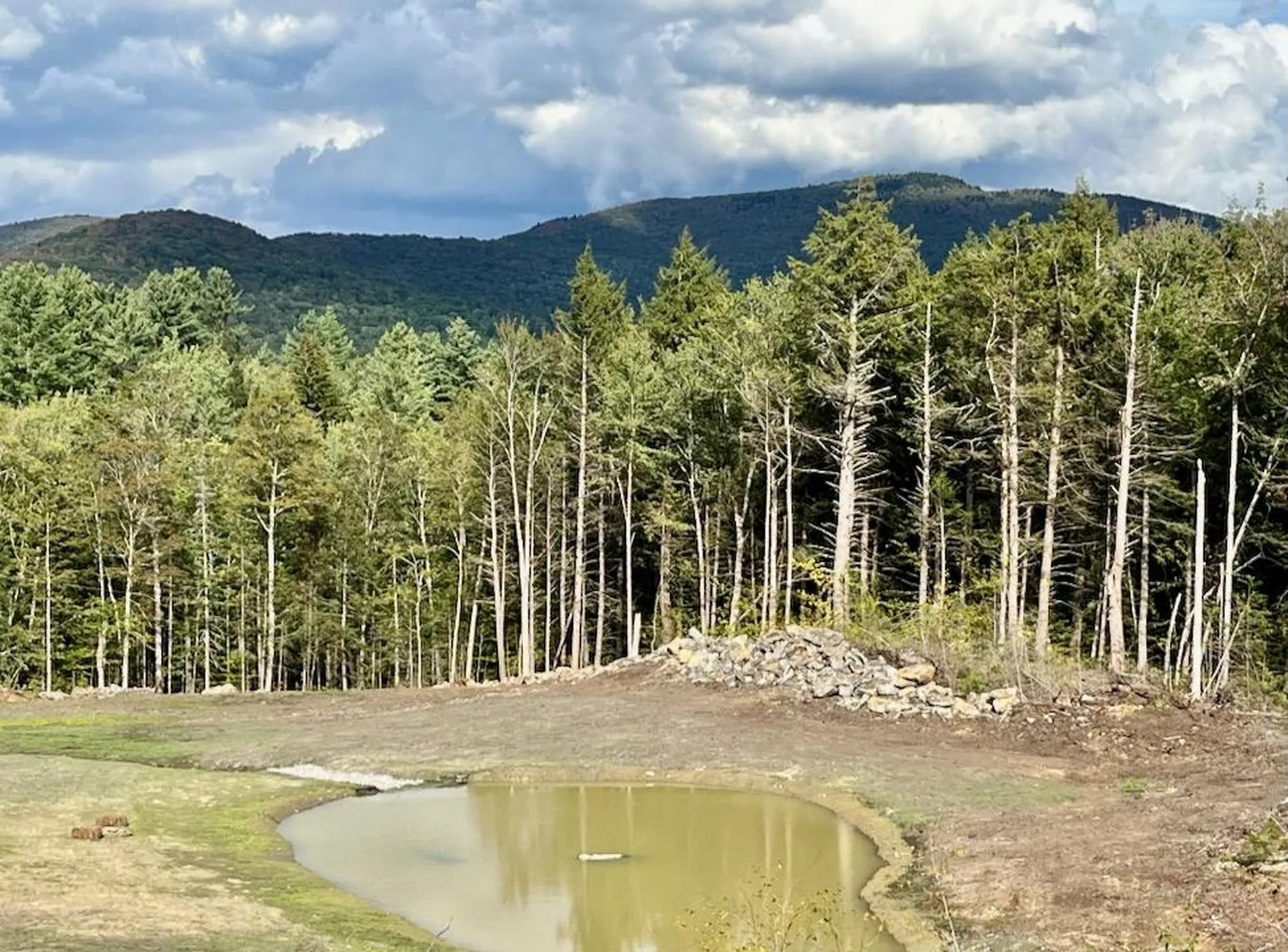 00 Parker Lane Weston VT 05161