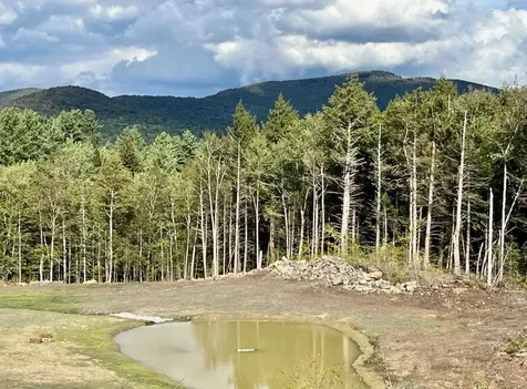 00 Parker Lane Weston VT 05161