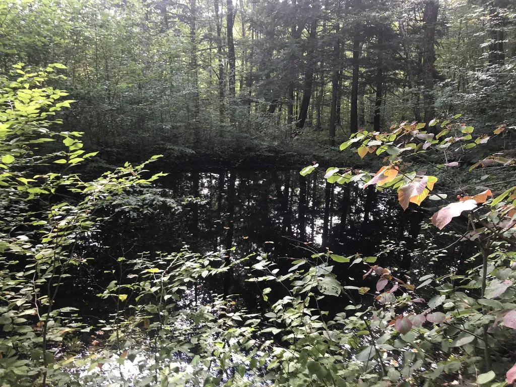 7601 Vermont Route 105 Jay VT 05859