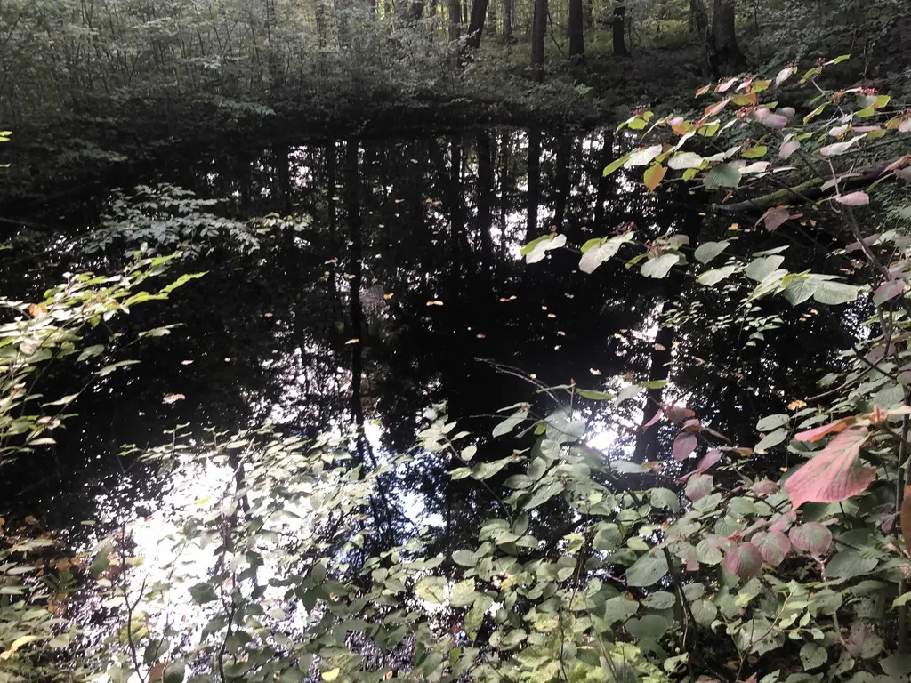 7601 Vermont Route 105 Jay VT 05859