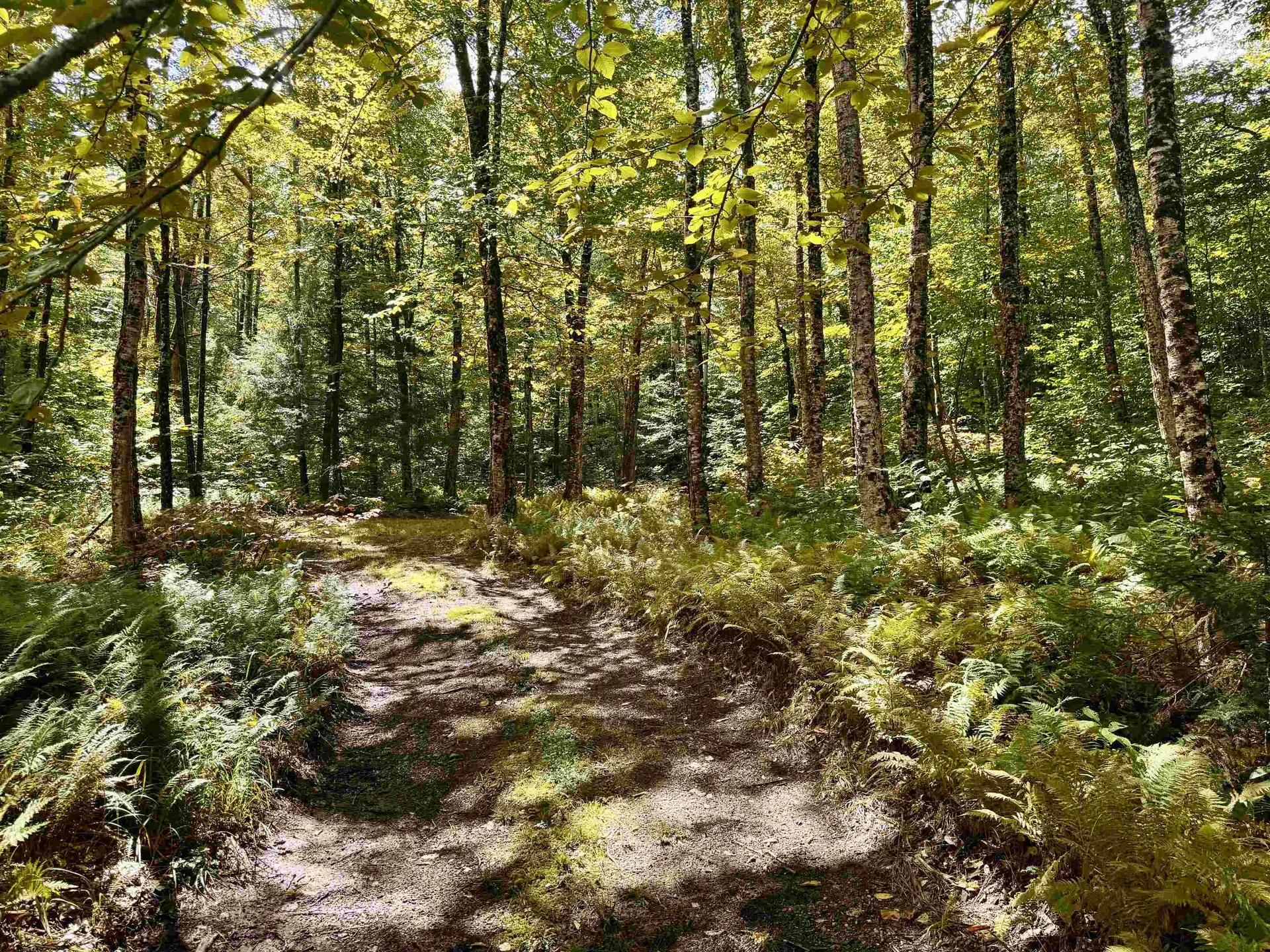 7601 Vermont Route 105 Jay VT 05859