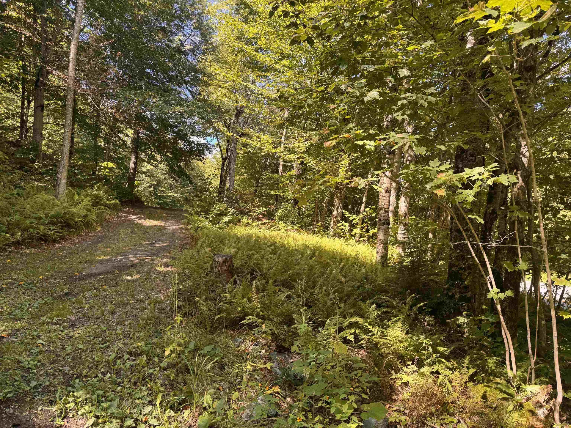 7601 Vermont Route 105 Jay VT 05859