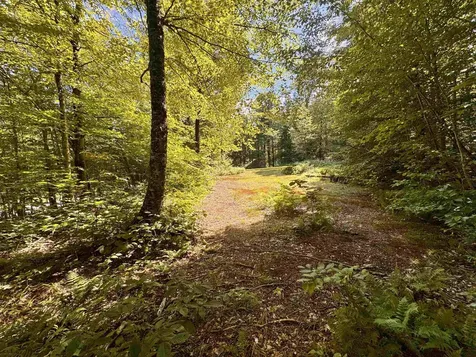 7601 Vermont Route 105 Jay VT 05859