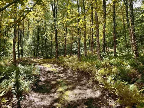 7601 Vermont Route 105 Jay VT 05859