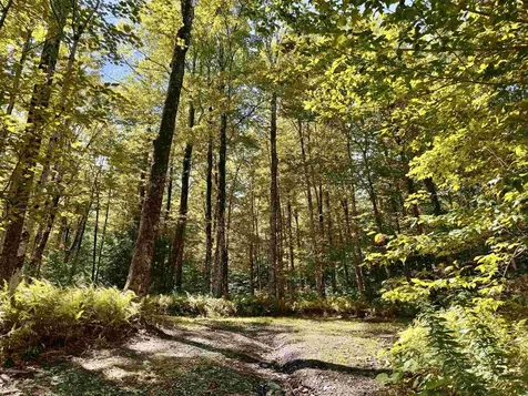 7601 Vermont Route 105 Jay VT 05859