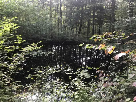 7601 Vermont Route 105 Jay VT 05859