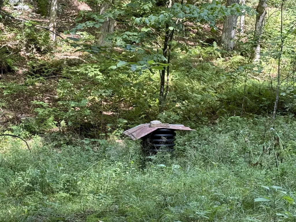(TR #18) Old Woodbury Mountain Road Woodbury VT 05681