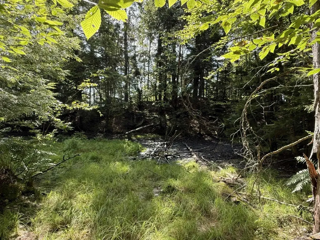 (TR #18) Old Woodbury Mountain Road Woodbury VT 05681