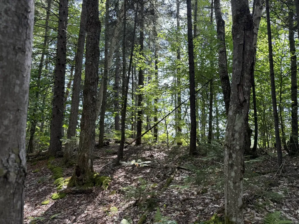 (TR #18) Old Woodbury Mountain Road Woodbury VT 05681
