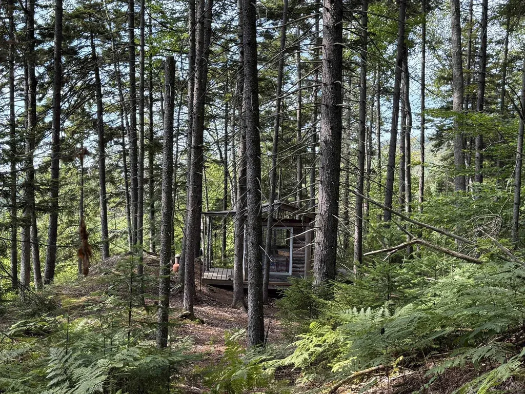 (TR #18) Old Woodbury Mountain Road Woodbury VT 05681