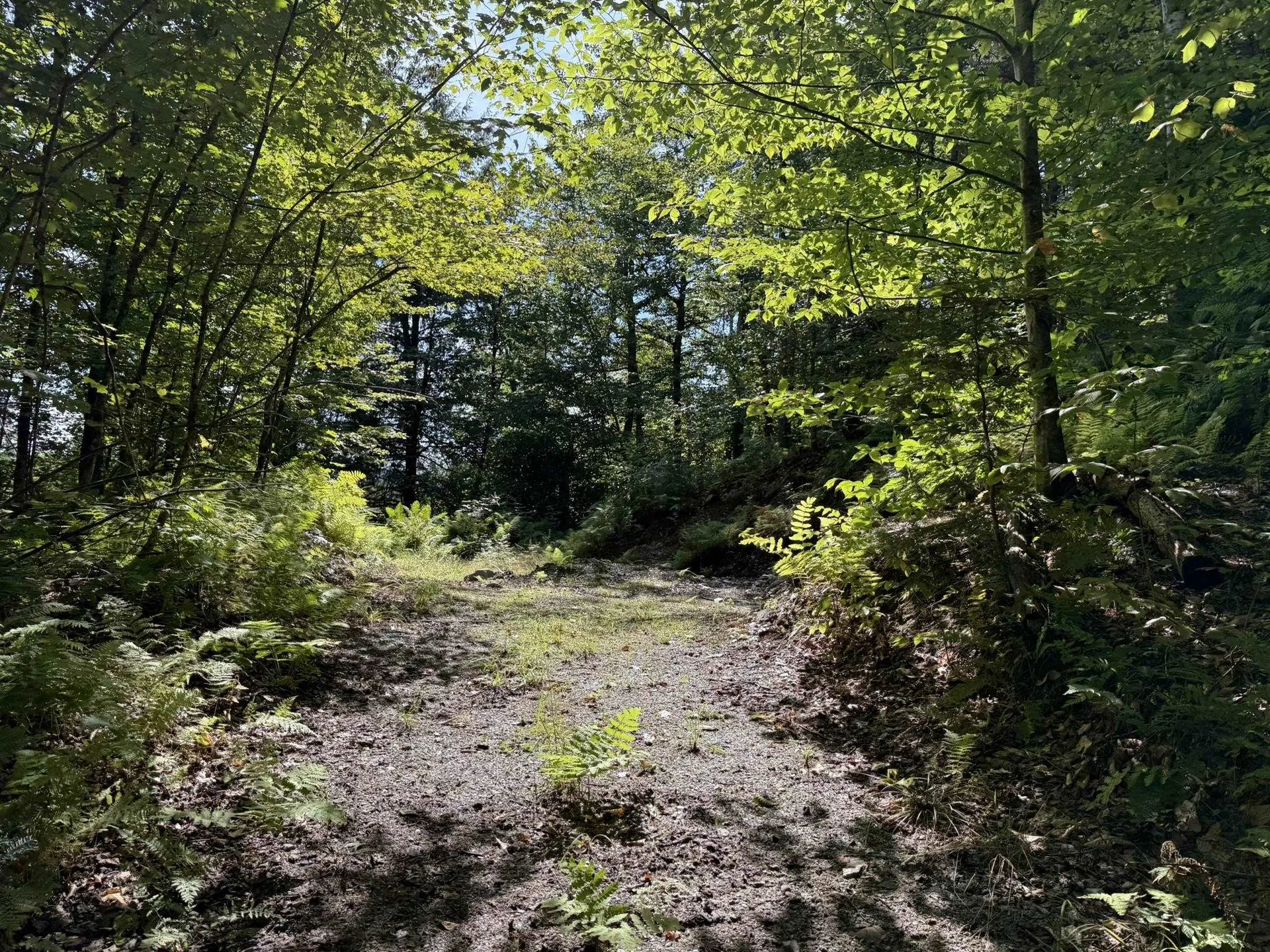 (TR #18) Old Woodbury Mountain Road Woodbury VT 05681