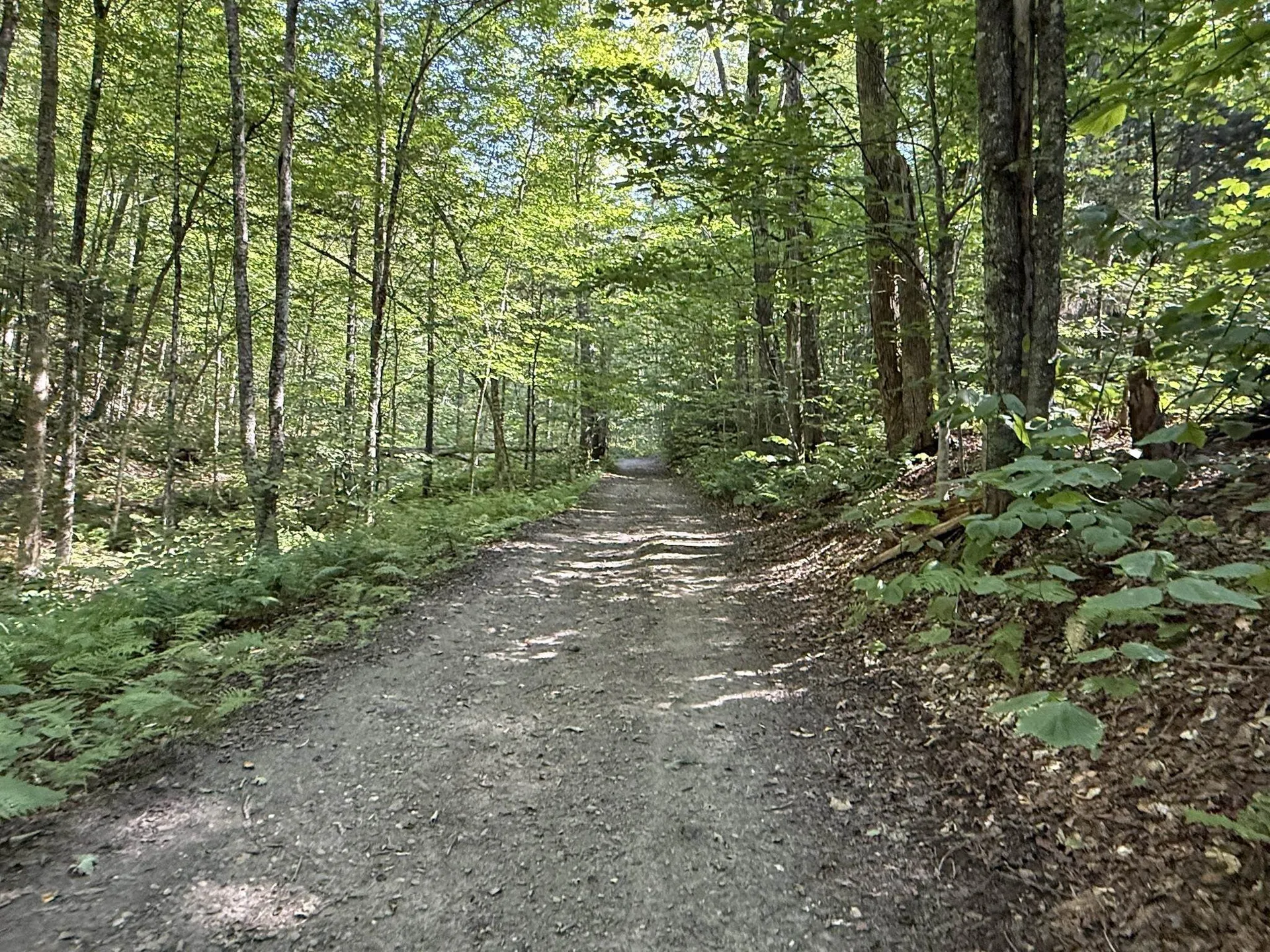 (TR #18) Old Woodbury Mountain Road Woodbury VT 05681