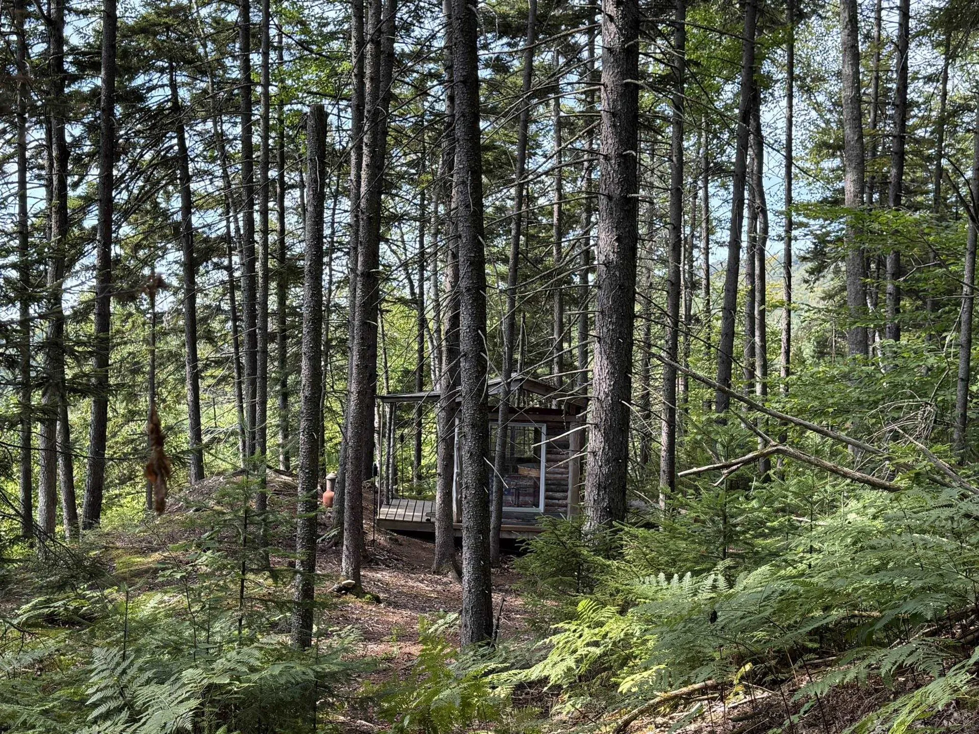 (TR #18) Old Woodbury Mountain Road Woodbury VT 05681