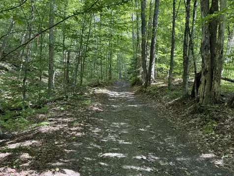 (TR #18) Old Woodbury Mountain Road Woodbury VT 05681