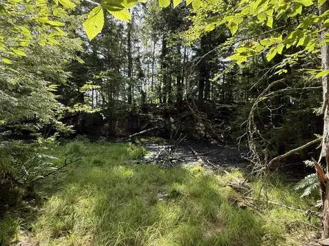 (TR #18) Old Woodbury Mountain Road Woodbury VT 05681