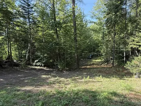 (TR #18) Old Woodbury Mountain Road Woodbury VT 05681