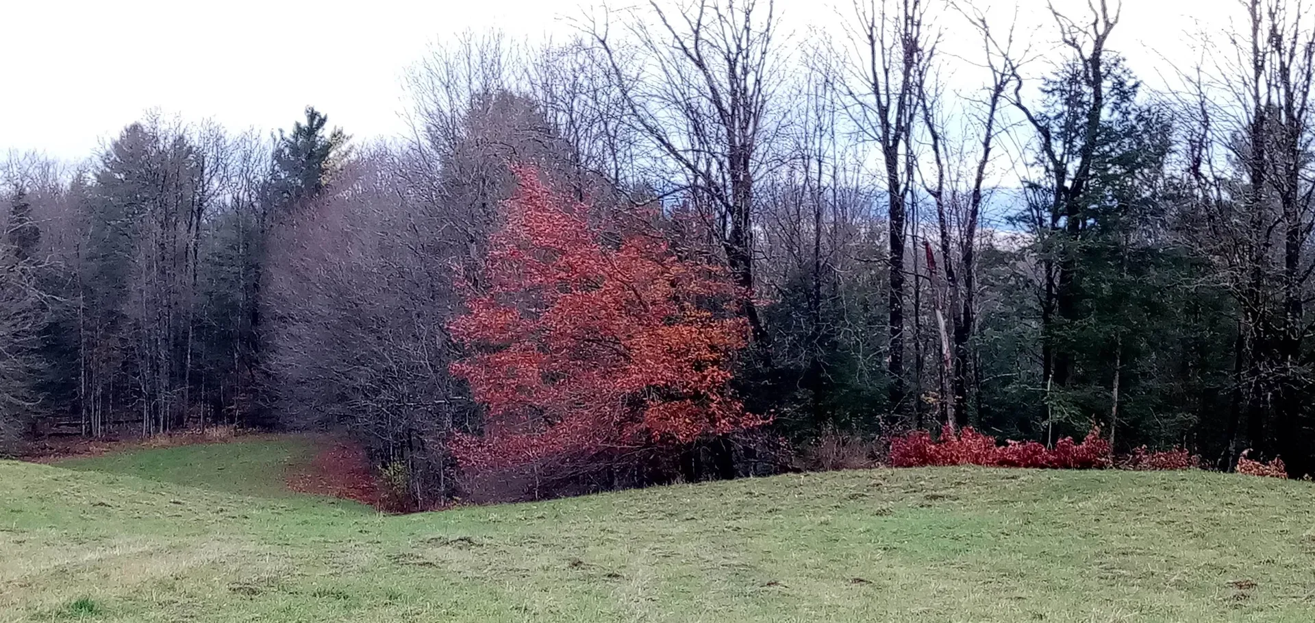 656 Lower Elmore Mount Road Morristown VT 05661