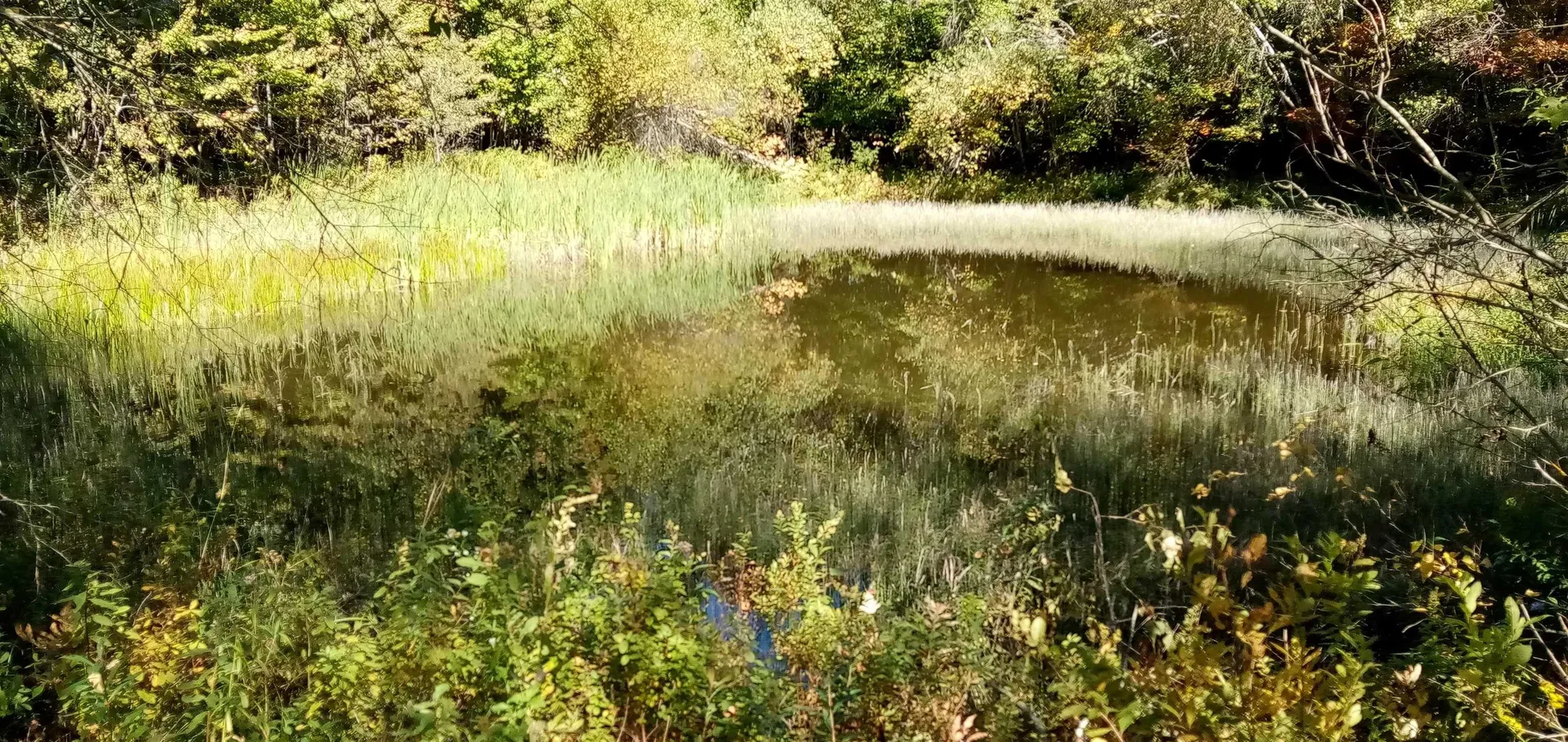 656 Lower Elmore Mount Road Morristown VT 05661