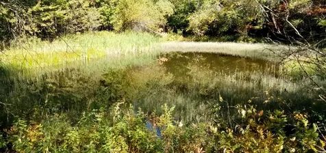 656 Lower Elmore Mount Road Morristown VT 05661