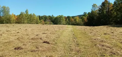 656 Lower Elmore Mount Road Morristown VT 05661