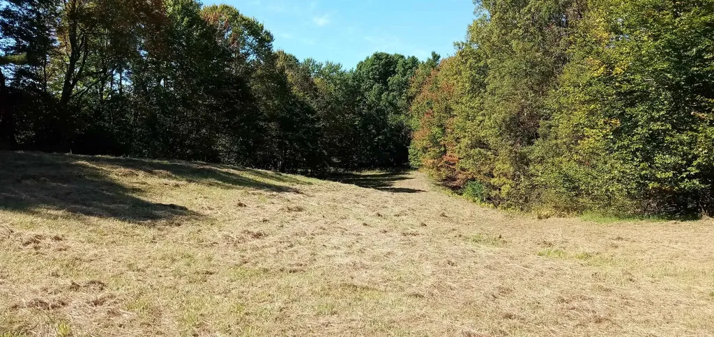 658 Lower Elmore Mount Road Morristown VT 05661