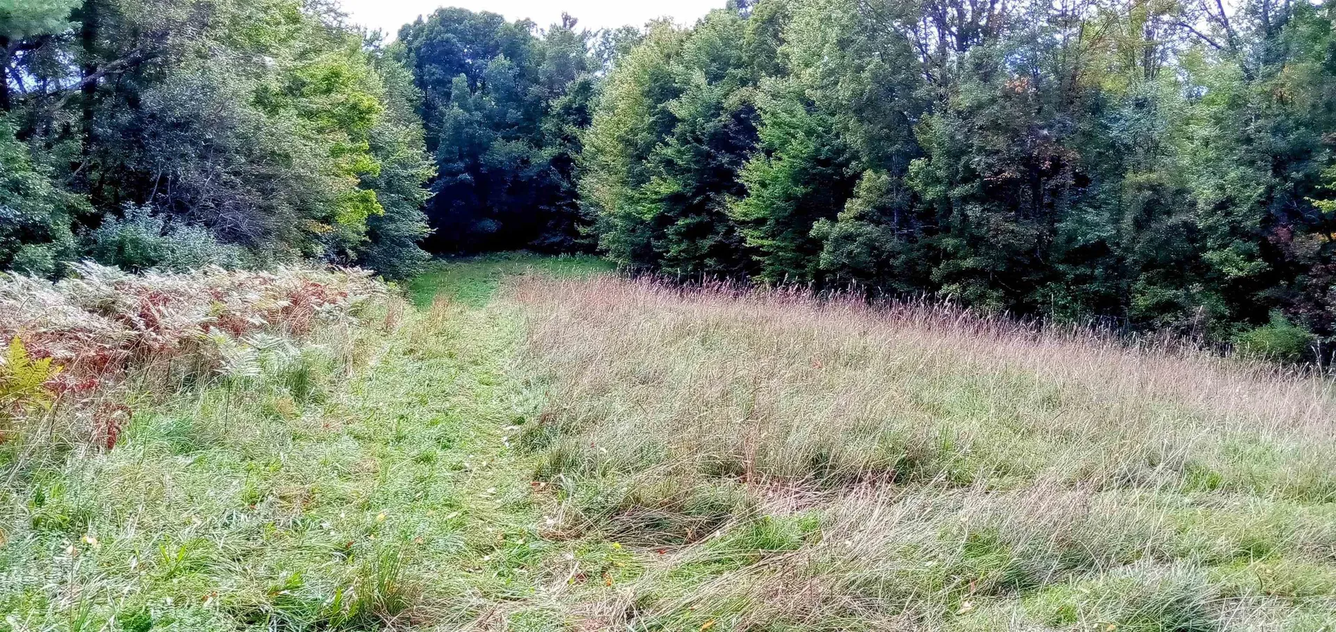 658 Lower Elmore Mount Road Morristown VT 05661