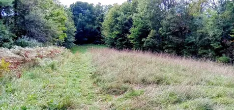 658 Lower Elmore Mount Road Morristown VT 05661