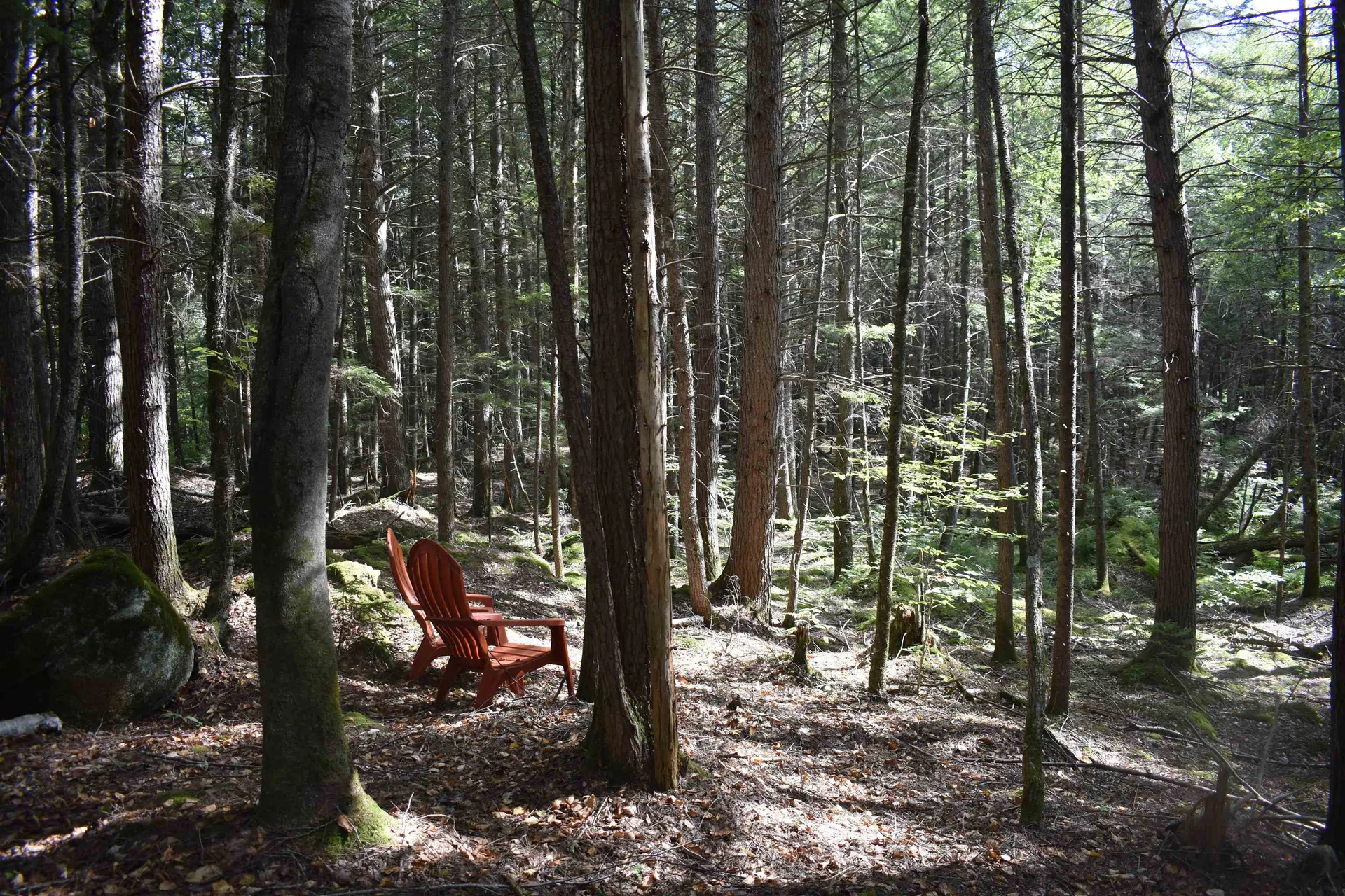 0 Sands Of Time Road Canaan NH 03741