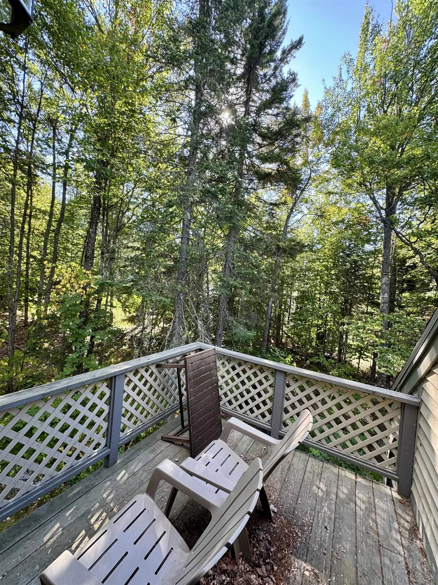 338 Longfellow Drive Bethlehem NH 03574