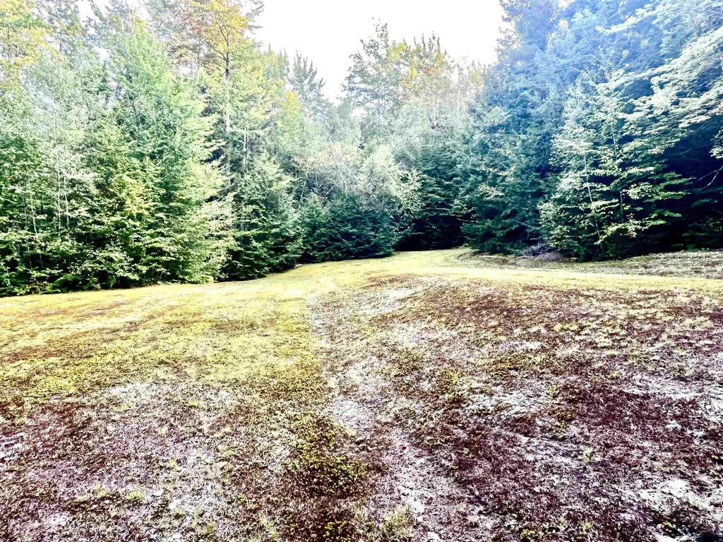 0 Carmel Road Westfield VT 05874