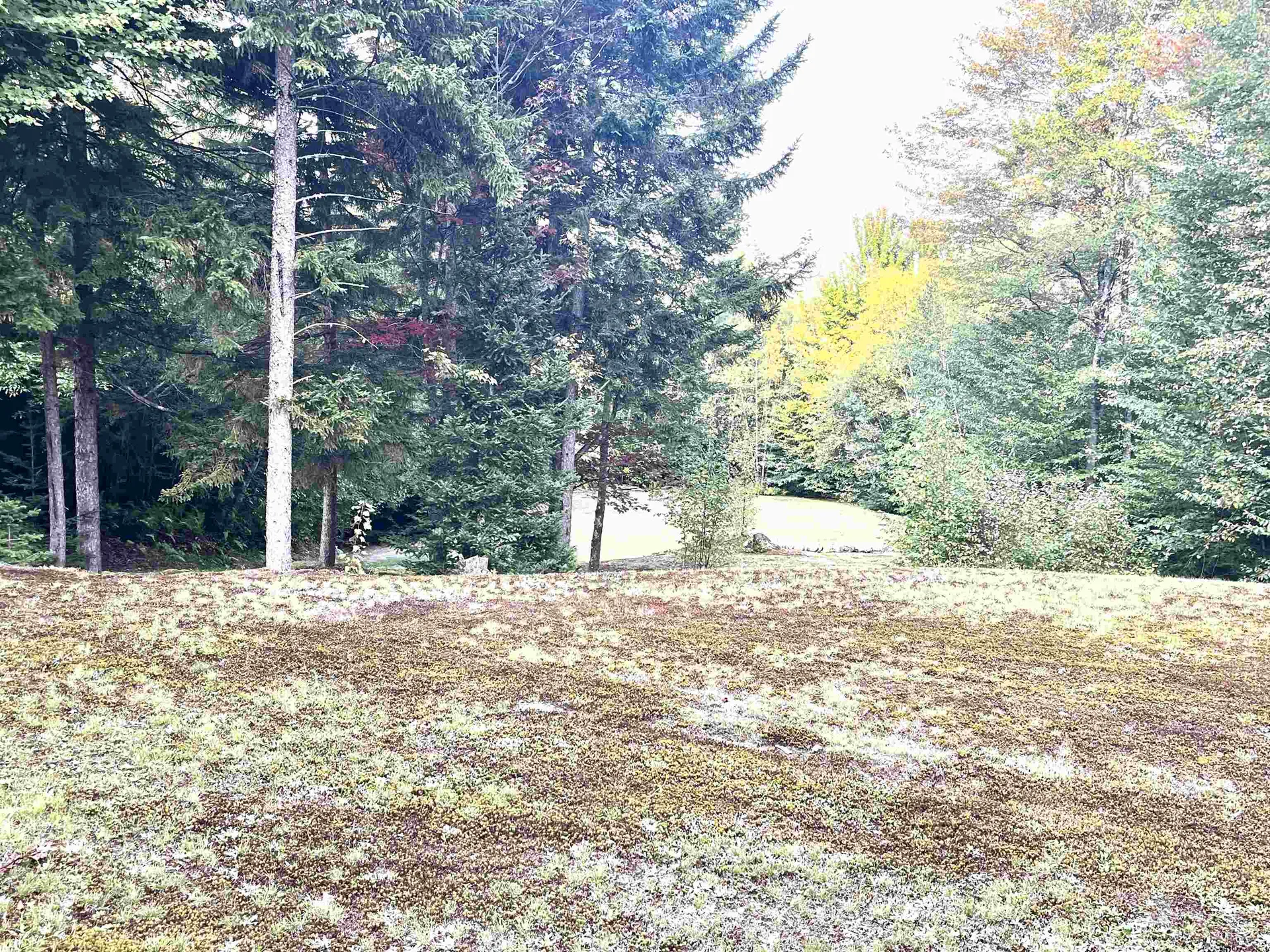 0 Carmel Road Westfield VT 05874