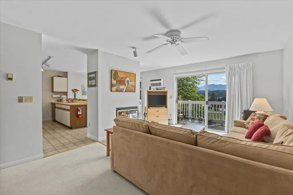 110 Mountainside Drive Stowe VT 05672