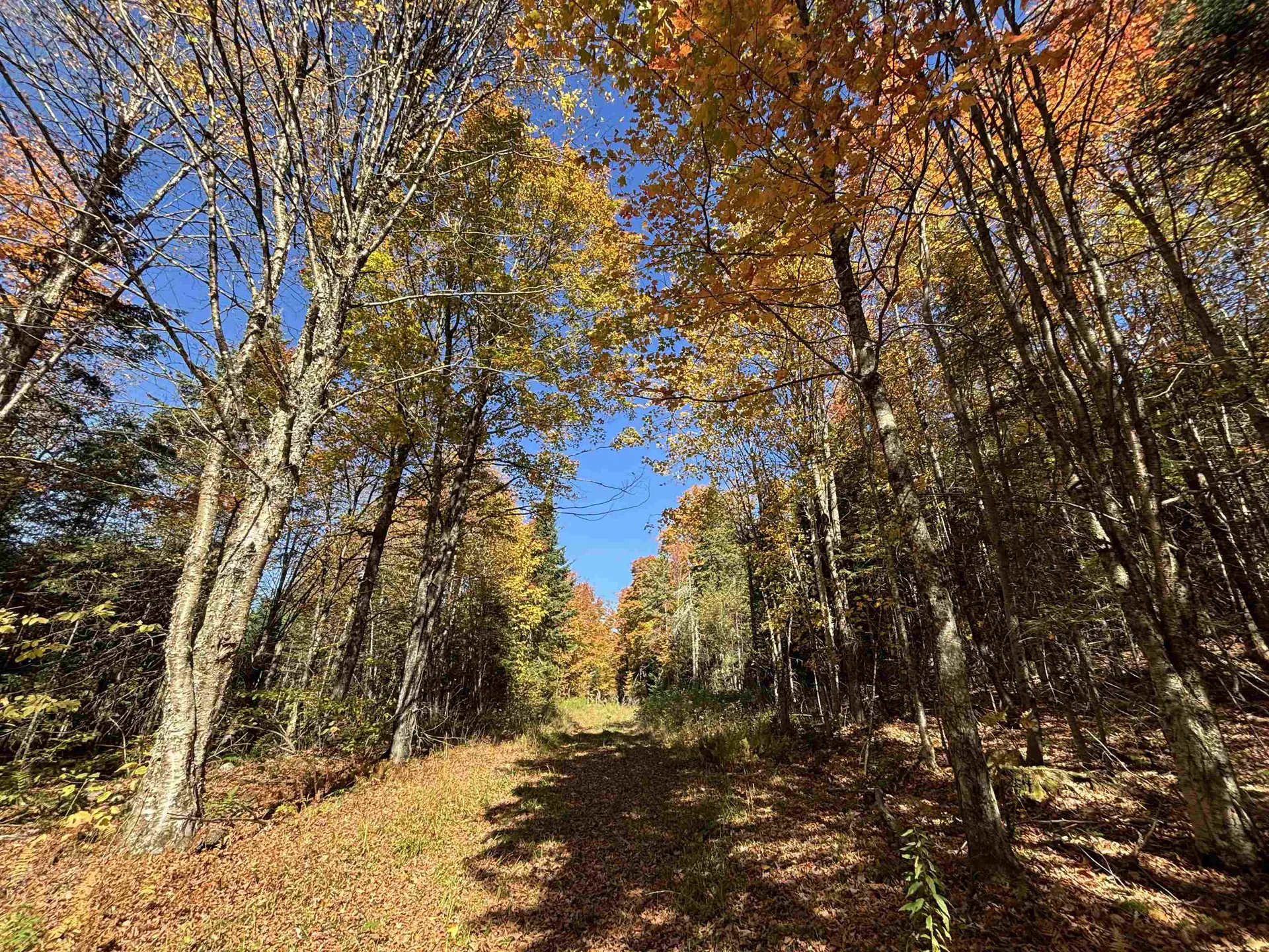 00 Baird Road Newark VT 05871