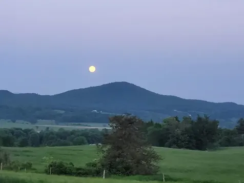 475 Vermont Route 22a Panton VT 05491