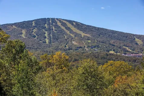 14 Mountain Haunts Road Winhall VT 05340