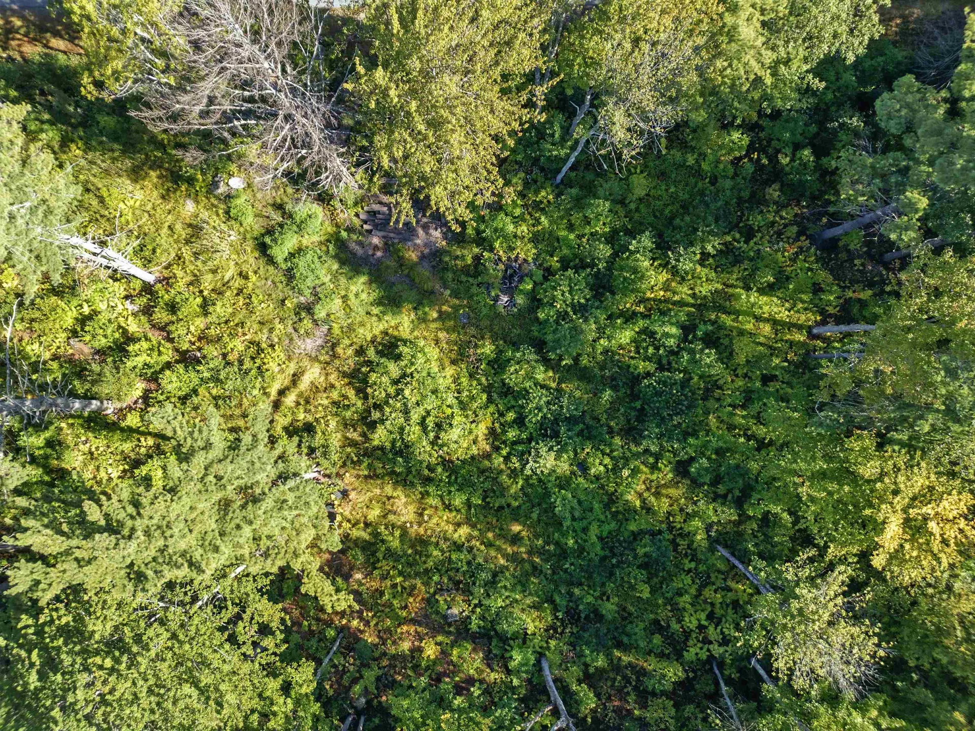 18 Balsam Drive Gilford NH 03249