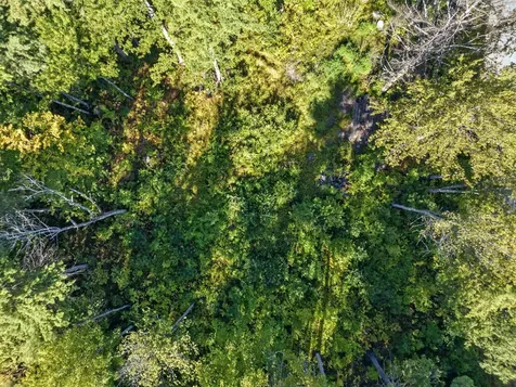 12 Balsam Drive Gilford NH 03249