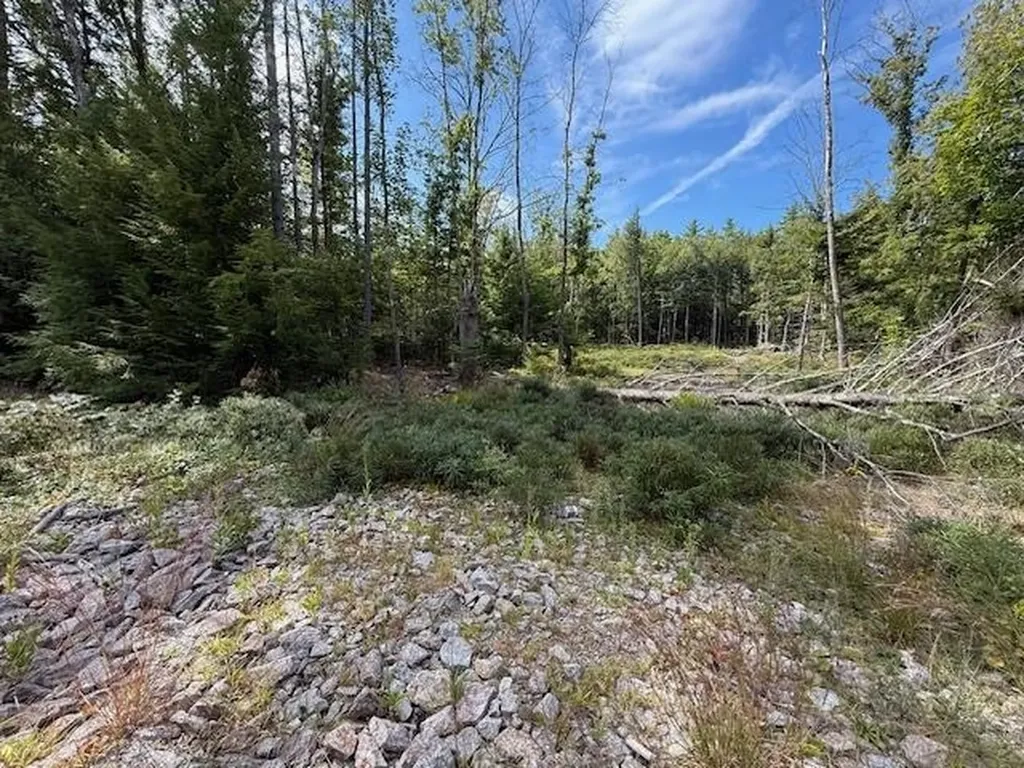 Bound Tree Road Hopkinton NH 03229