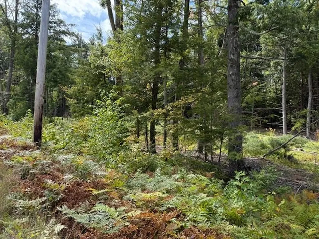 Bound Tree Road Hopkinton NH 03229