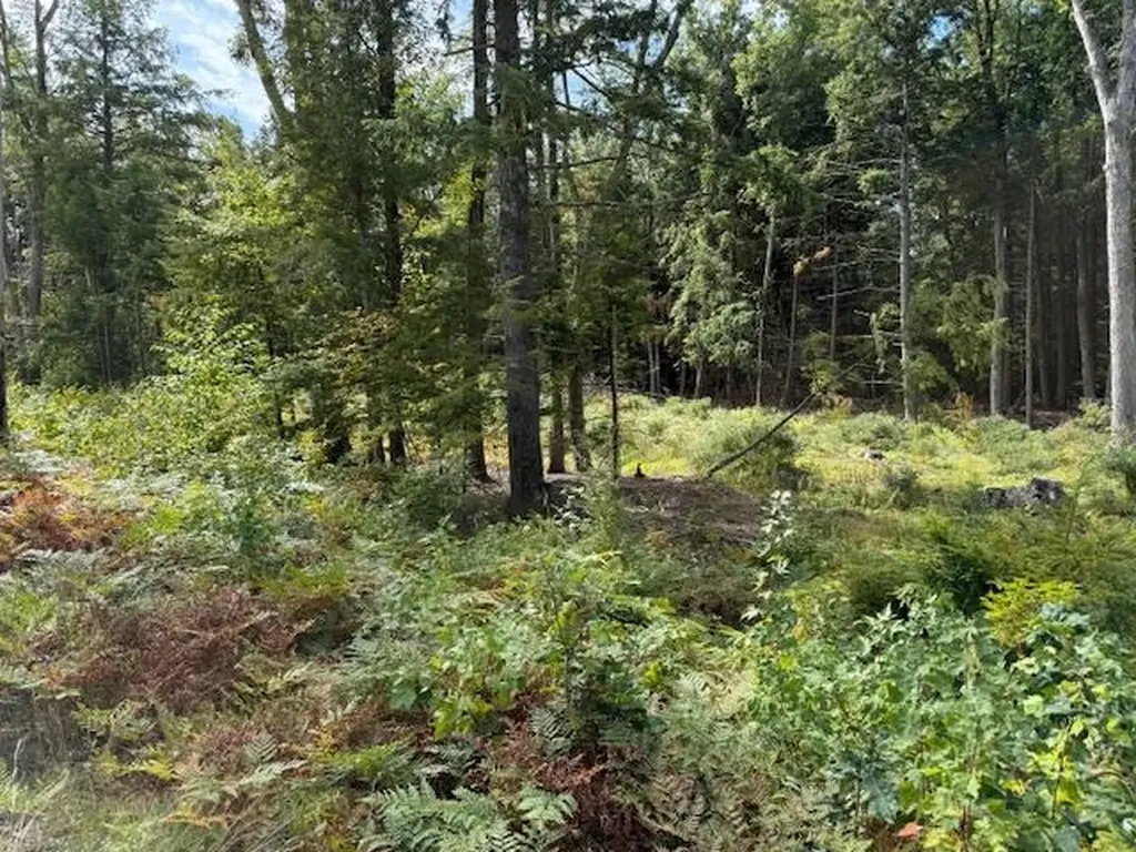 Bound Tree Road Hopkinton NH 03229