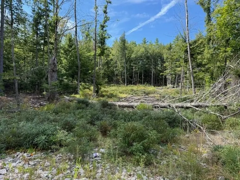 Bound Tree Road Hopkinton NH 03229