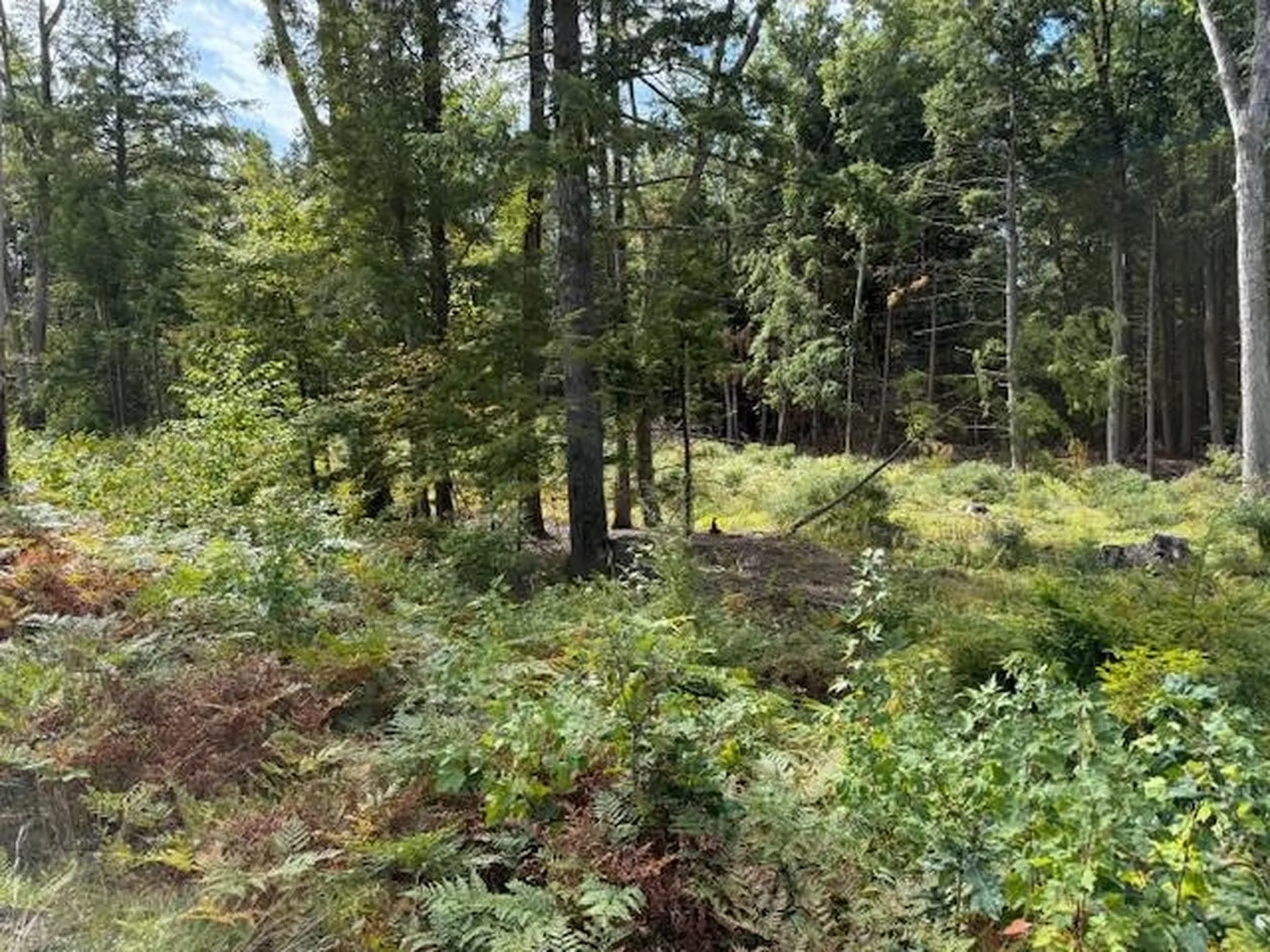 Bound Tree Road Hopkinton NH 03229