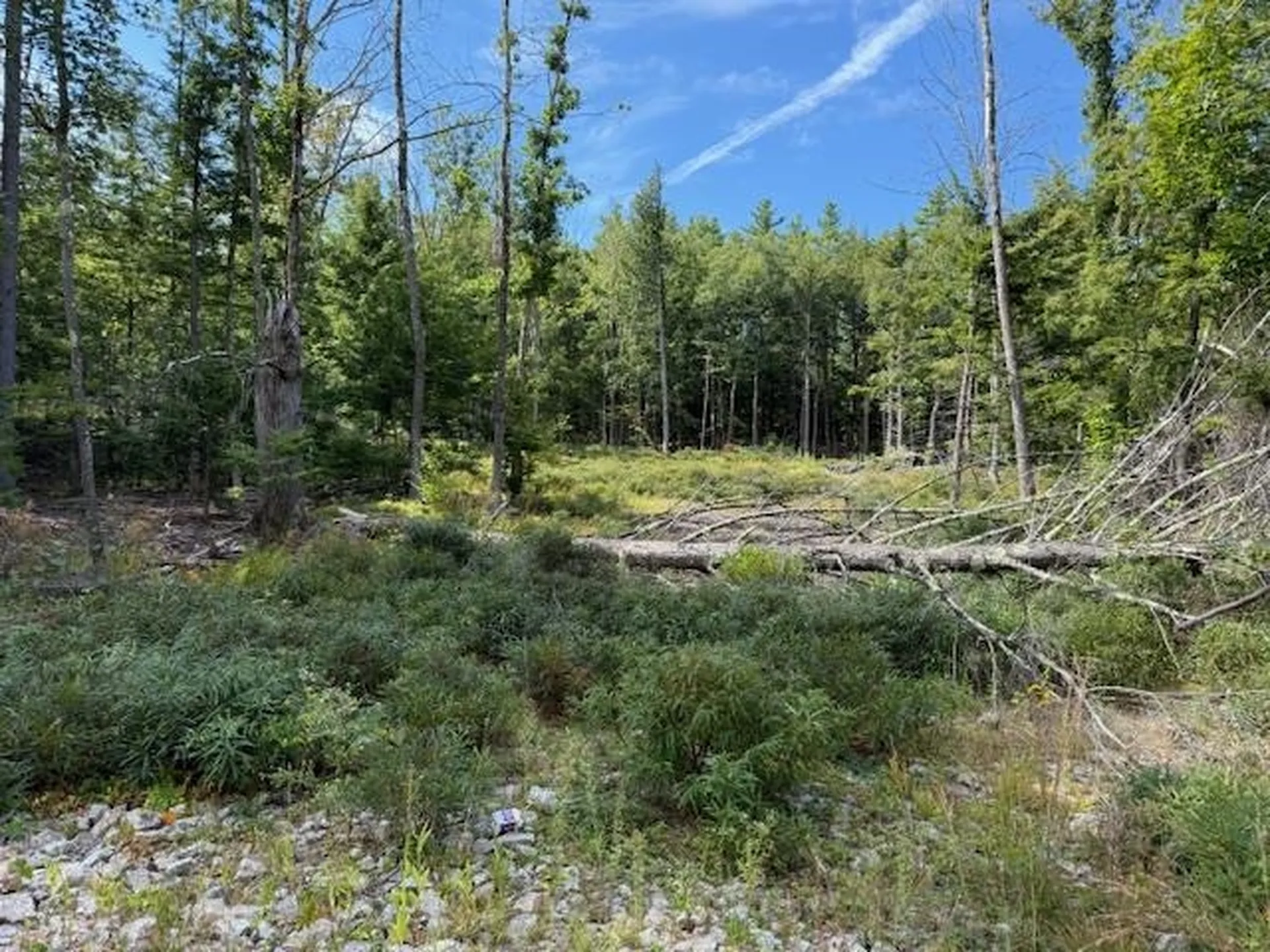 Bound Tree Road Hopkinton NH 03229