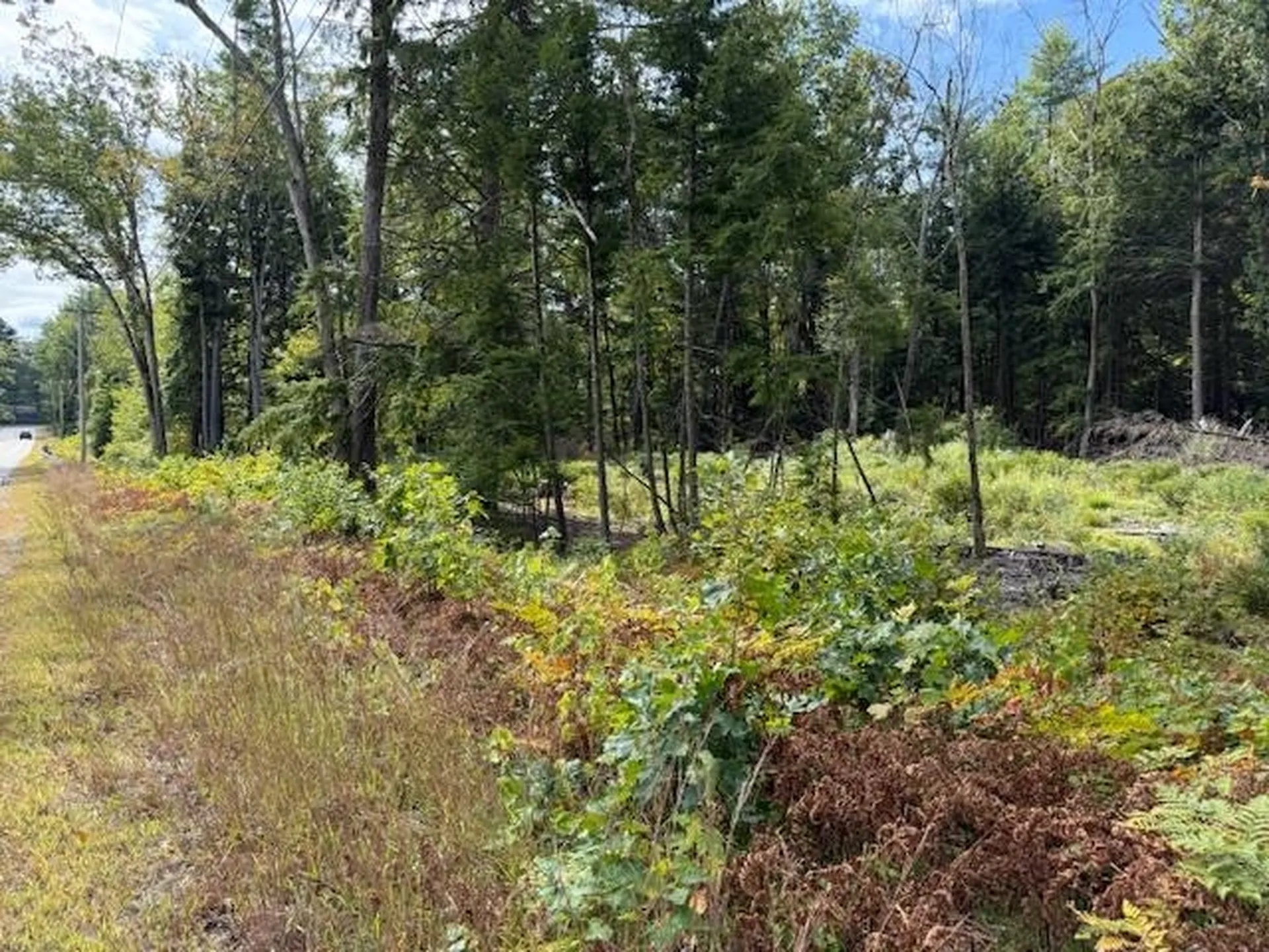 Bound Tree Road Hopkinton NH 03229
