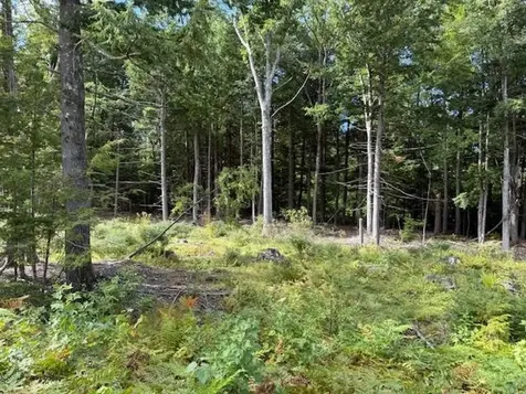 Bound Tree Road Hopkinton NH 03229