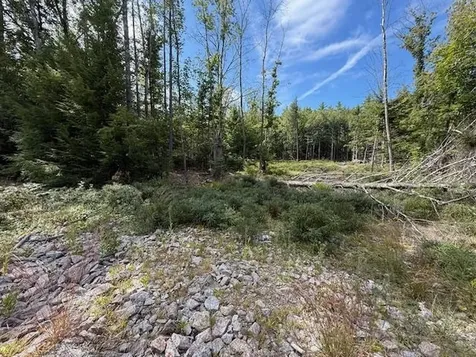 Bound Tree Road Hopkinton NH 03229