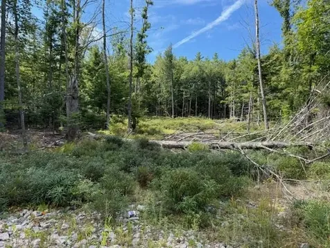 Bound Tree Road Hopkinton NH 03229