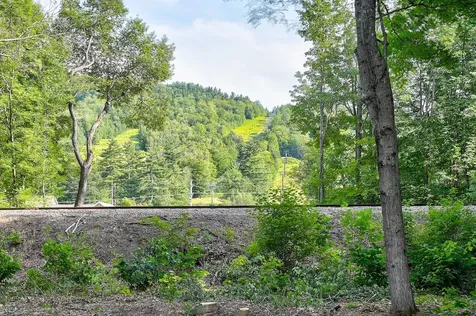 8g River Run Drive Bartlett NH 03812