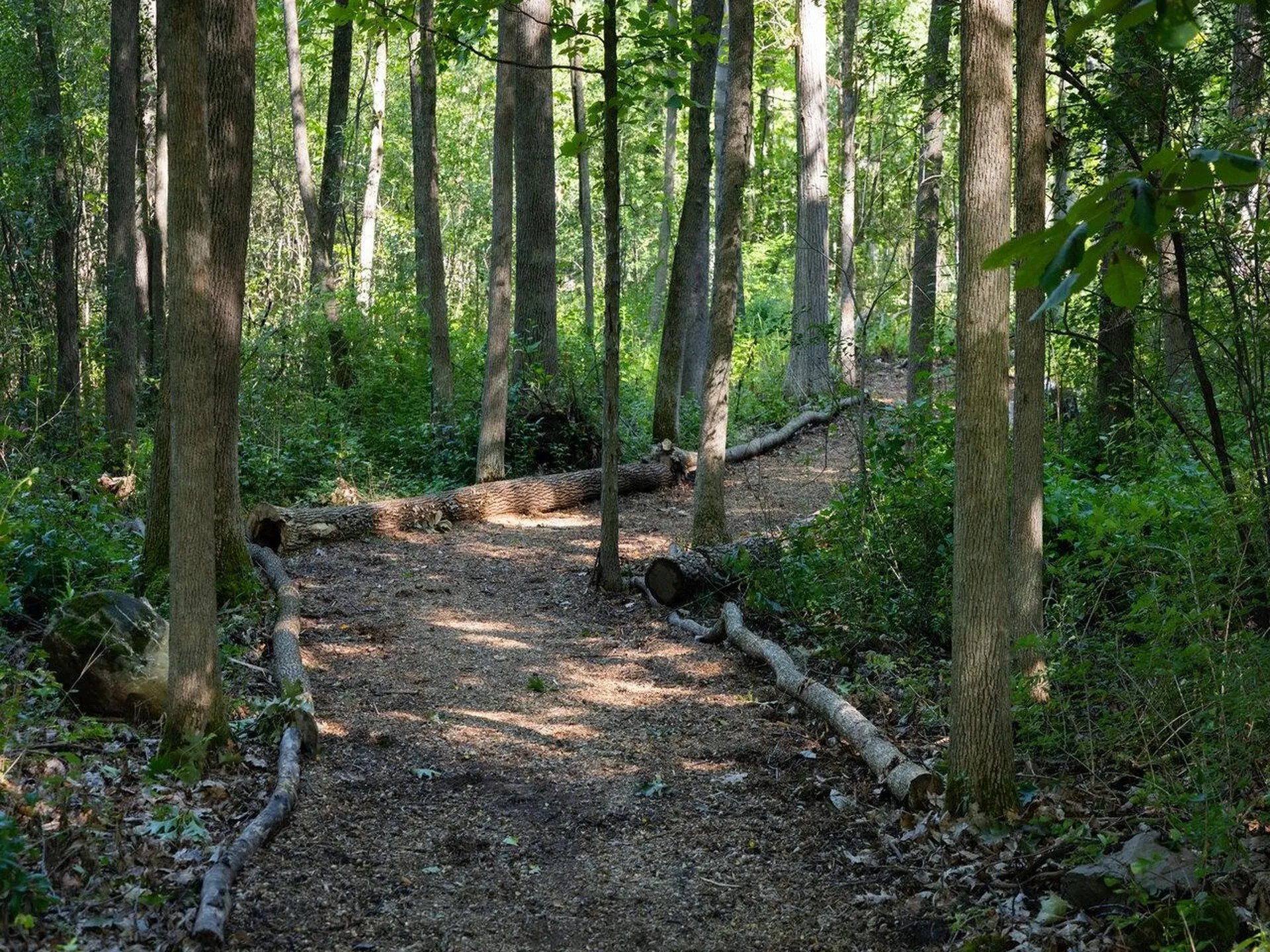 107 Eagles Rest Road Shelburne VT 05482